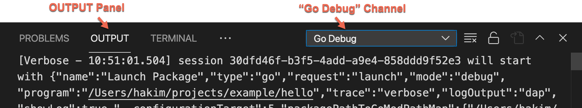 docs_images_debug-output.png